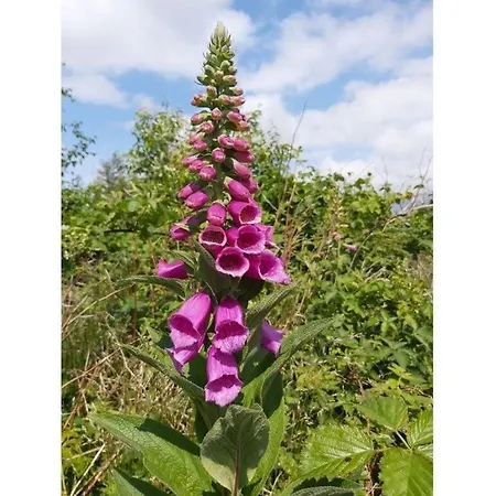 Сasa de vacaciones App 63 Comfortable *