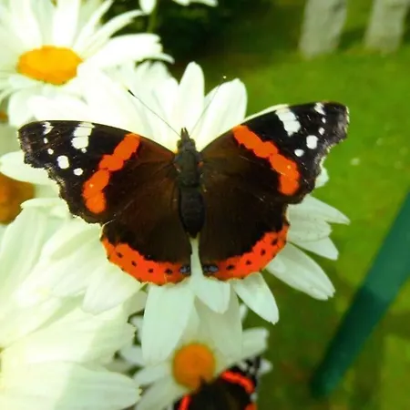 App 63 Comfortable * Nordstrand