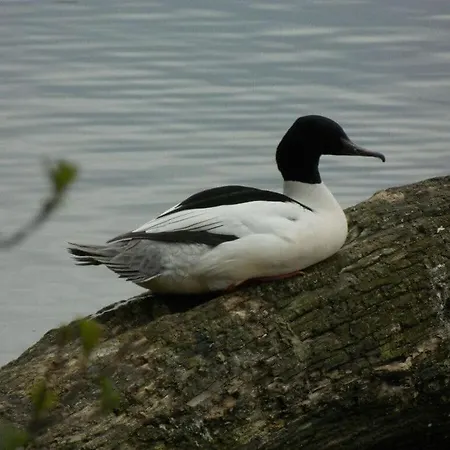 App 63 Comfortable Nordstrand