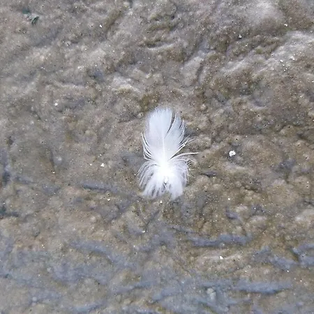 Hébergement de vacances App 63 Comfortable