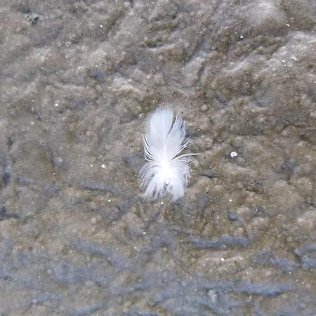 App 63 Comfortable Сasa de vacaciones *